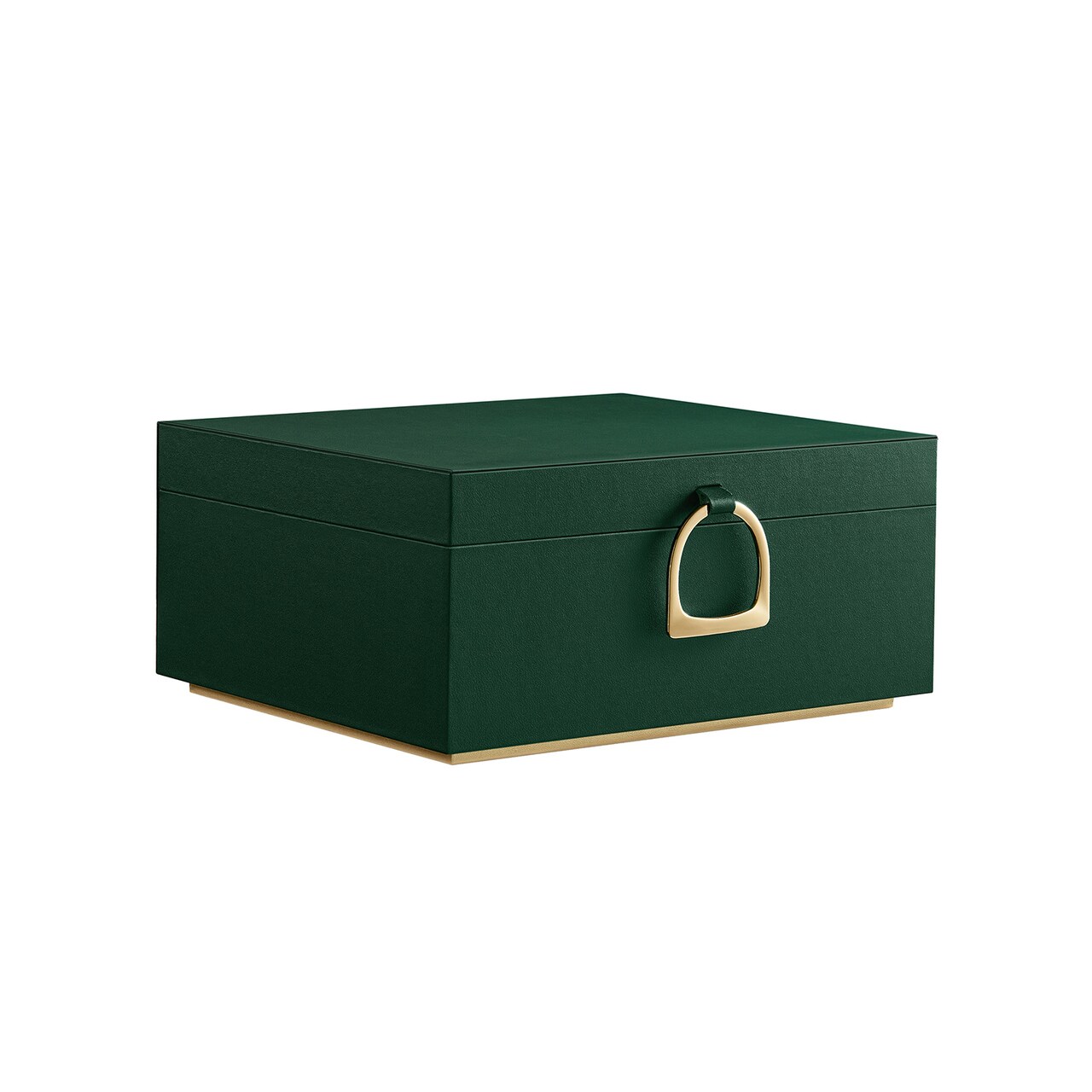 Jewelry Storage Box with Lid Hooks Tray Organizer Necklace Ring Earring Case
